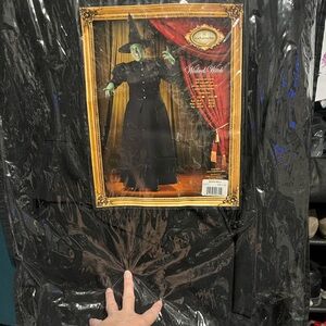 Like new Traditional Wicked Witch of the West Theatrical Costume
